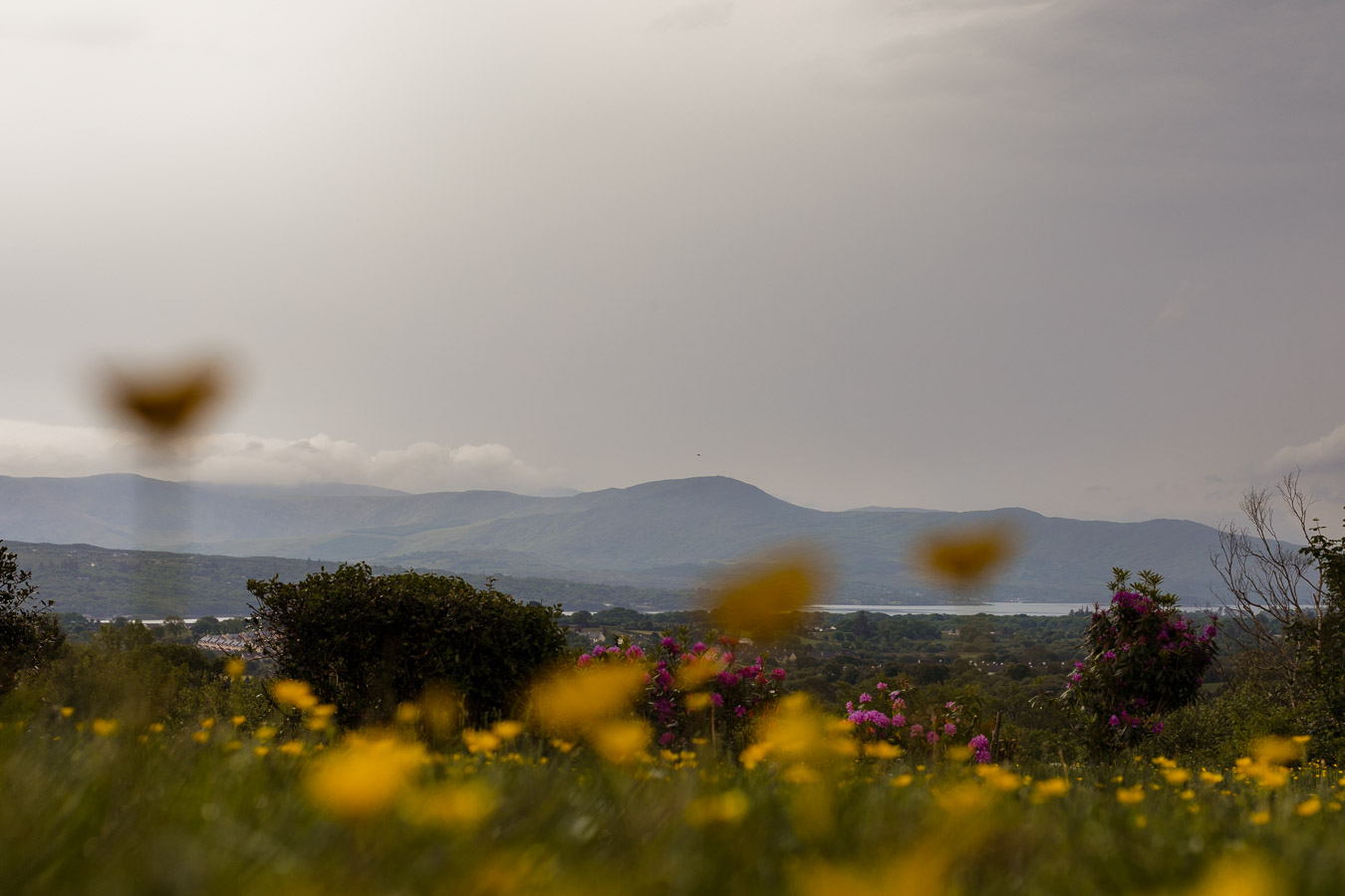 Dromquinna manor wedding